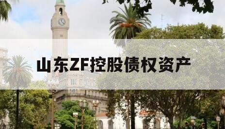 山东ZF控股债权资产