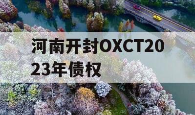 河南开封OXCT2023年债权