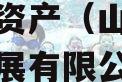 山东正方控股2023年债权资产（山东正方实业发展有限公司待遇）