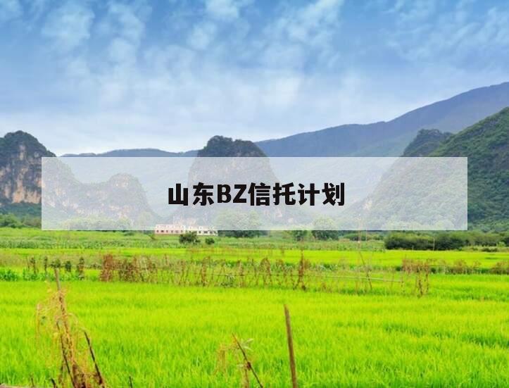 山东BZ信托计划