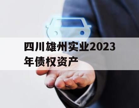 四川雄州实业2023年债权资产