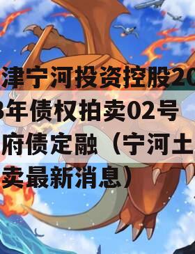 天津宁河投资控股2023年债权拍卖02号政府债定融（宁河土地拍卖最新消息）