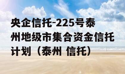 央企信托-225号泰州地级市集合资金信托计划（泰州 信托）