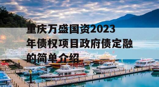 重庆万盛国资2023年债权项目政府债定融的简单介绍