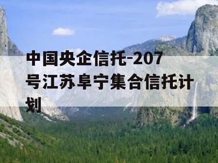 中国央企信托-207号江苏阜宁集合信托计划