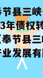 重庆奉节县三峡生态发展2023年债权转让项目（奉节县三峡库区生态产业发展有限公司）