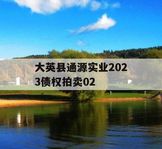 大英县通源实业2023债权拍卖02