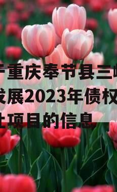 关于重庆奉节县三峡生态发展2023年债权转让项目的信息