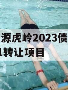 济源虎岭2023债权01转让项目