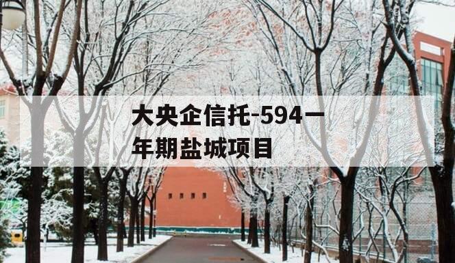 大央企信托-594一年期盐城项目