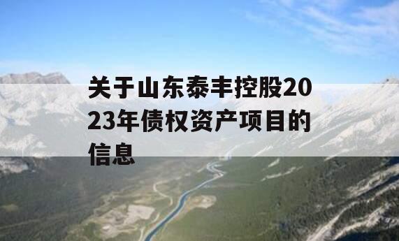 关于山东泰丰控股2023年债权资产项目的信息