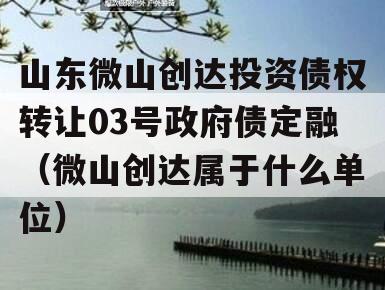 山东微山创达投资债权转让03号政府债定融（微山创达属于什么单位）