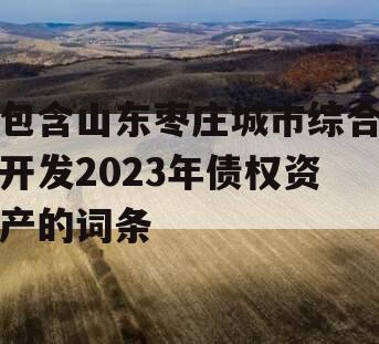 包含山东枣庄城市综合开发2023年债权资产的词条