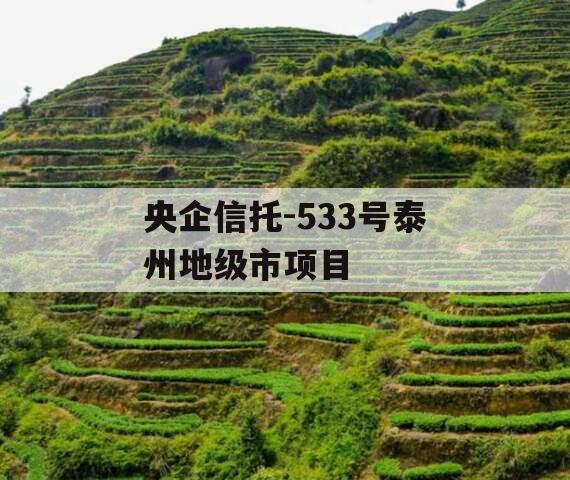 央企信托-533号泰州地级市项目