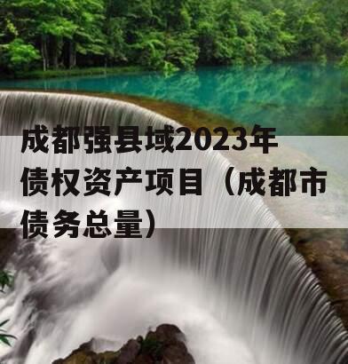 成都强县域2023年债权资产项目（成都市债务总量）