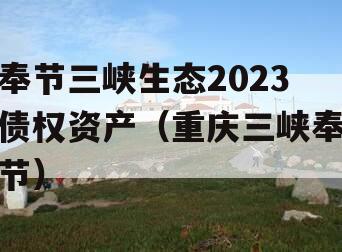 奉节三峡生态2023债权资产（重庆三峡奉节）