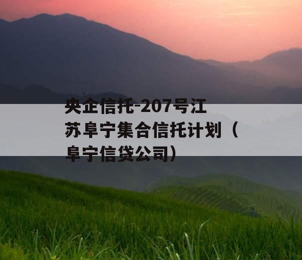 央企信托-207号江苏阜宁集合信托计划（阜宁信贷公司）