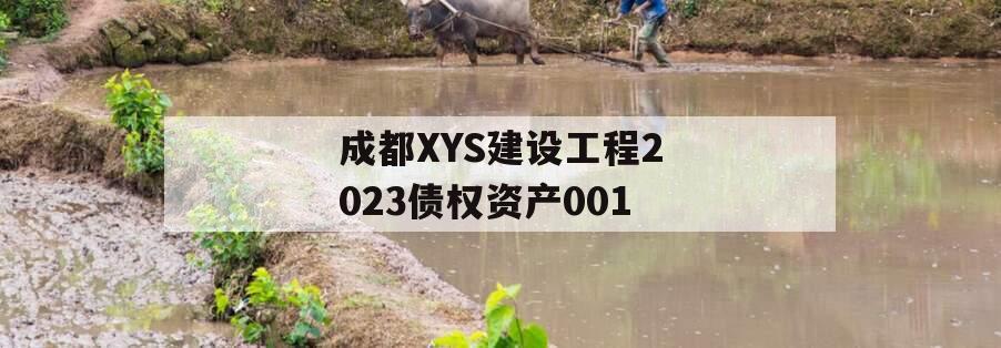 成都XYS建设工程2023债权资产001