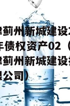 天津蓟州新城建设2023年债权资产02（天津蓟州新城建设投资有限公司）