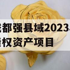 成都强县域2023年债权资产项目