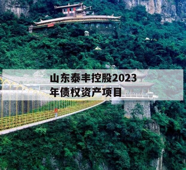 山东泰丰控股2023年债权资产项目