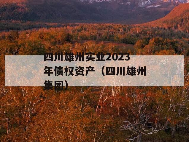 四川雄州实业2023年债权资产（四川雄州集团）