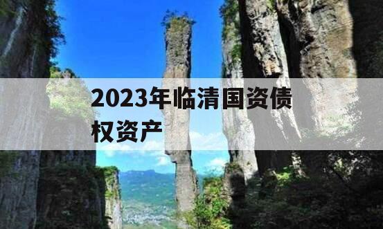 2023年临清国资债权资产