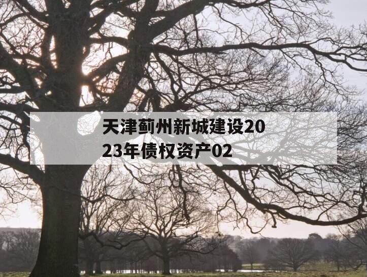 天津蓟州新城建设2023年债权资产02