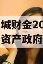 山东诸城财金2023年债权资产政府债定融