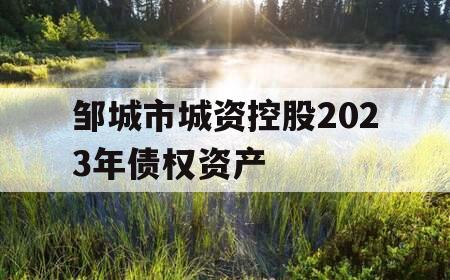 邹城市城资控股2023年债权资产