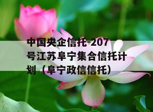 中国央企信托-207号江苏阜宁集合信托计划（阜宁政信信托）