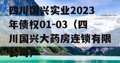 四川国兴实业2023年债权01-03（四川国兴大药房连锁有限公司）