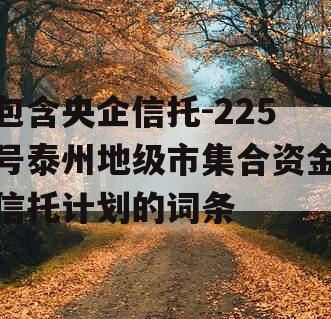 包含央企信托-225号泰州地级市集合资金信托计划的词条