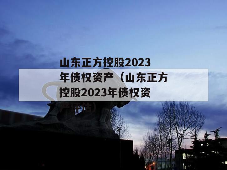 山东正方控股2023年债权资产（山东正方控股2023年债权资产评估）