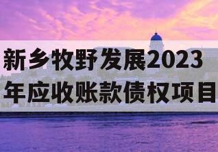 新乡牧野发展2023年应收账款债权项目