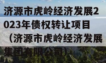 济源市虎岭经济发展2023年债权转让项目（济源市虎岭经济发展集团有限公司）