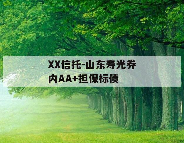 XX信托-山东寿光券内AA+担保标债