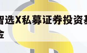 智选X私募证券投资基金