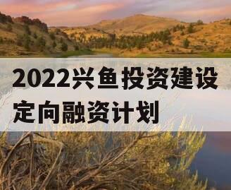 2022兴鱼投资建设定向融资计划