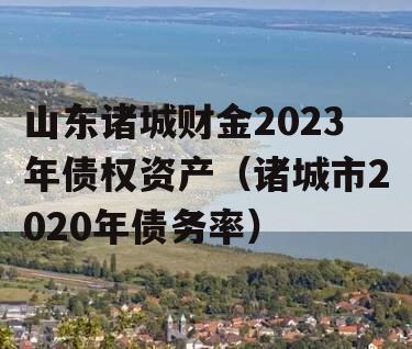 山东诸城财金2023年债权资产（诸城市2020年债务率）