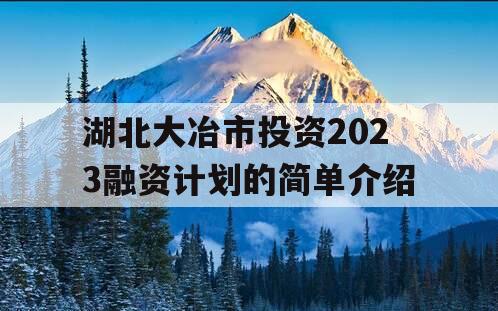 湖北大冶市投资2023融资计划的简单介绍