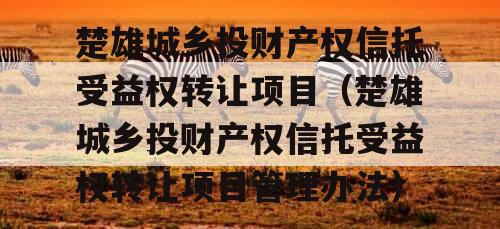 楚雄城乡投财产权信托受益权转让项目（楚雄城乡投财产权信托受益权转让项目管理办法）