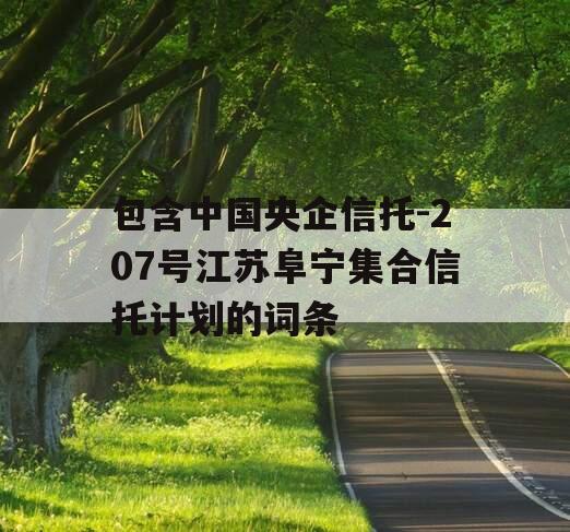 包含中国央企信托-207号江苏阜宁集合信托计划的词条