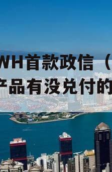 FCWH首款政信（政信产品有没兑付的吗?）