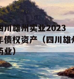 四川雄州实业2023年债权资产（四川雄州药业）