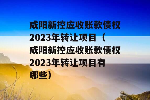 咸阳新控应收账款债权2023年转让项目（咸阳新控应收账款债权2023年转让项目有哪些）