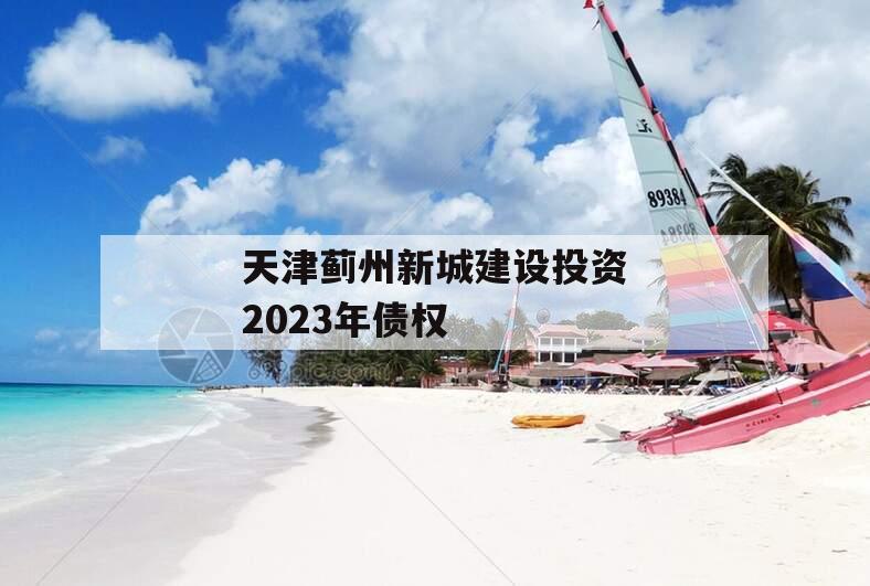 天津蓟州新城建设投资2023年债权