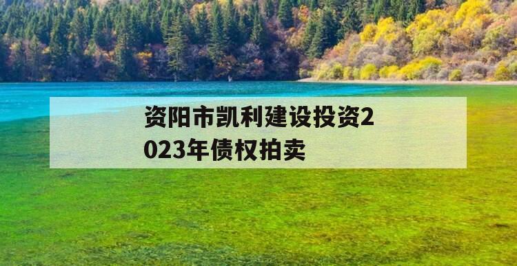 资阳市凯利建设投资2023年债权拍卖