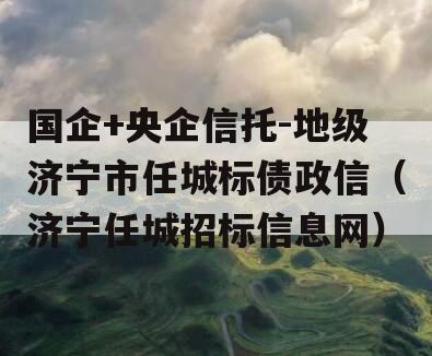 国企+央企信托-地级济宁市任城标债政信（济宁任城招标信息网）