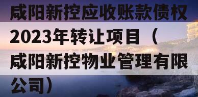 咸阳新控应收账款债权2023年转让项目（咸阳新控物业管理有限公司）